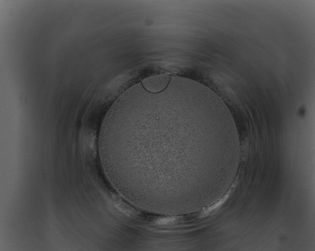 X0000093470178200710191153