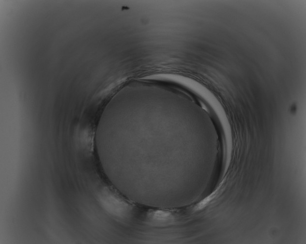 X0000093470180200710191153