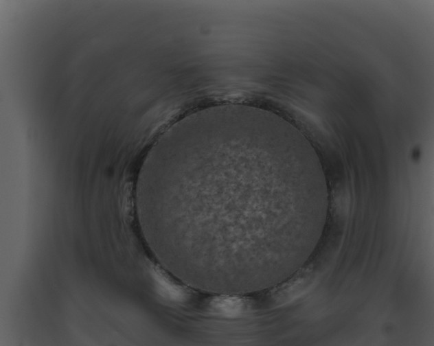 X0000093470181200710191153