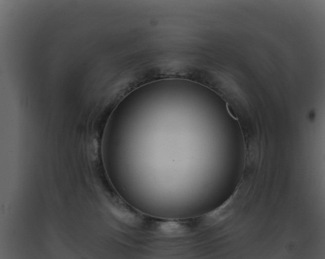 X0000093470183200710191153