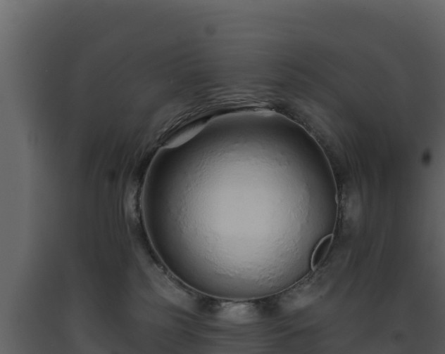 X0000093470185200710191153