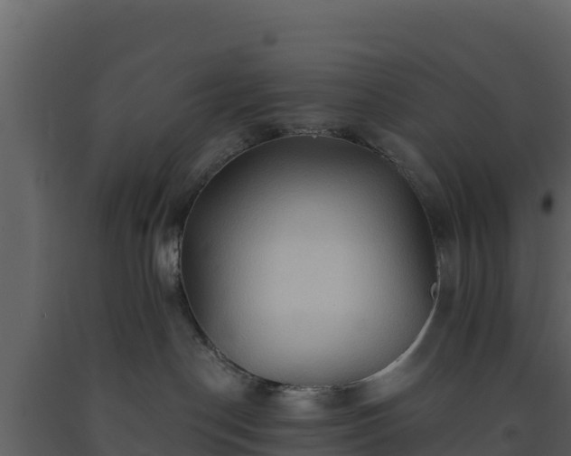 X0000093470190200710191153