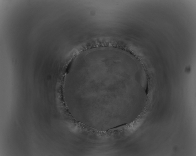 X0000093470192200710191153