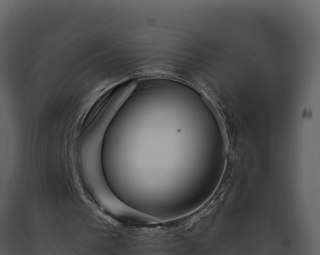 X0000093470193200710191152