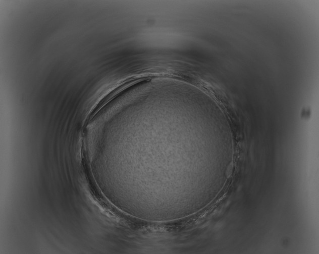 X0000093470194200710191152