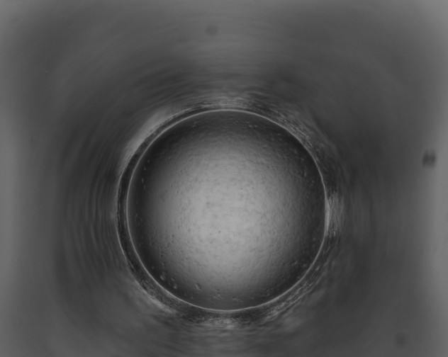 X0000093470195200710191152