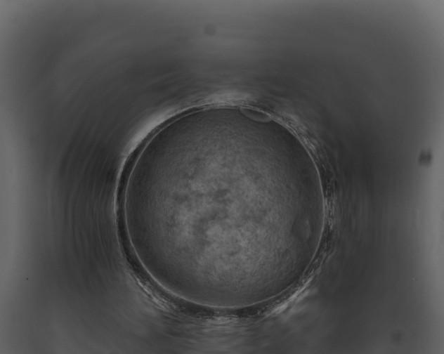 X0000093470196200710191152