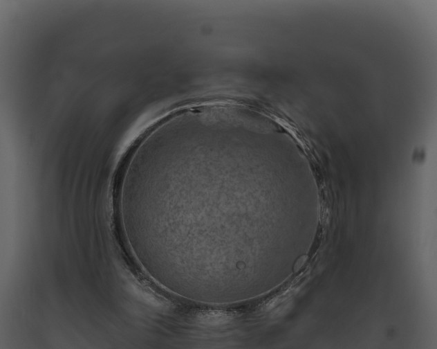 X0000093470198200710191152