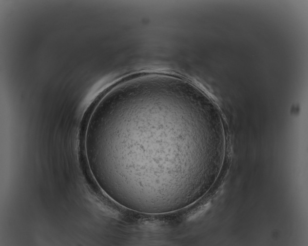 X0000093470199200710191152