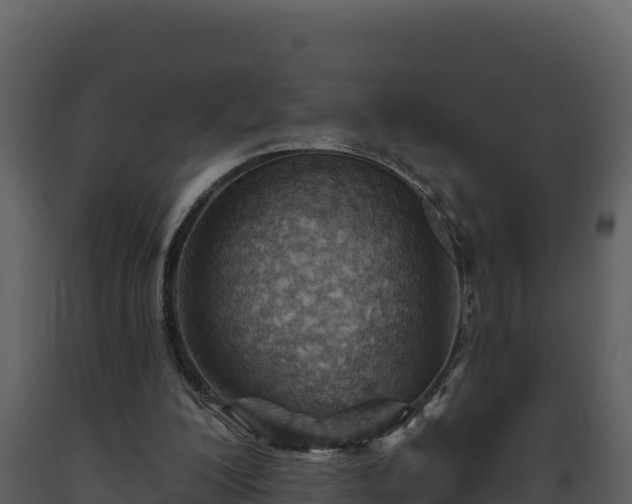 X0000093470200200710191152