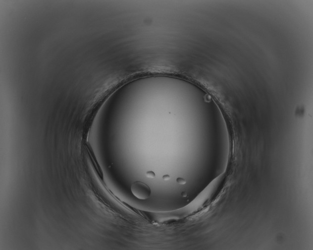 X0000093470201200710191152