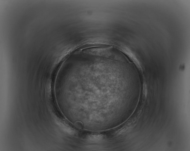 X0000093470202200710191152