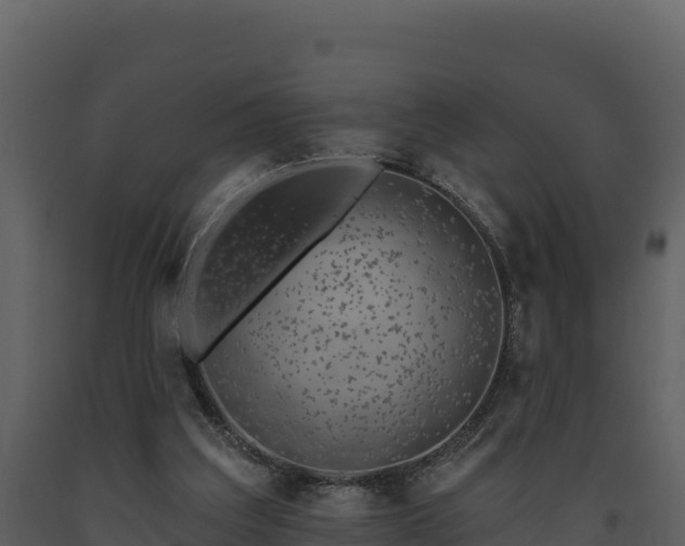 X0000093470203200710191152