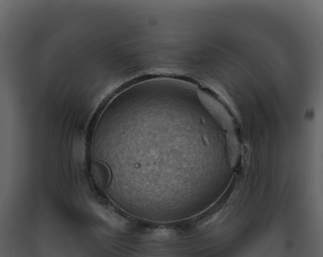 X0000093470204200710191152