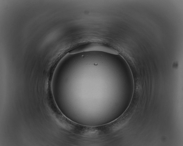 X0000093470206200710191152