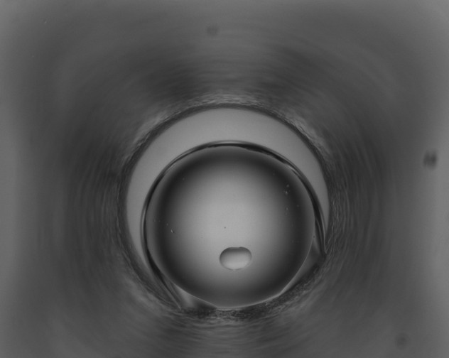 X0000093470207200710191152