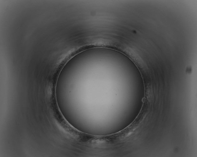 X0000093470208200710191152