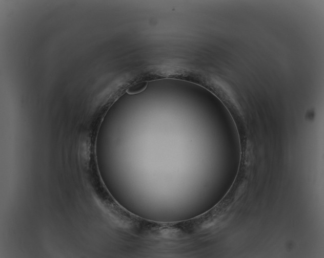 X0000093470210200710191152