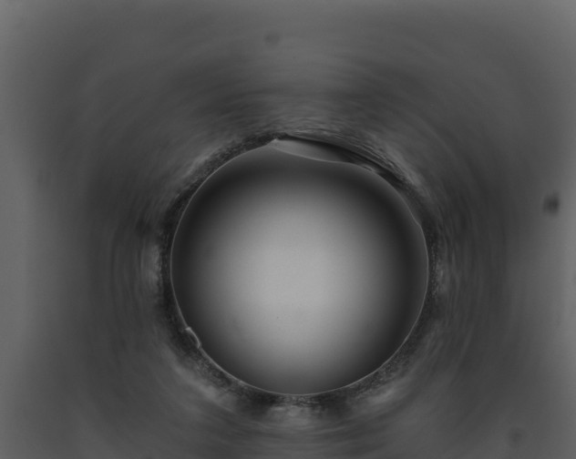 X0000093470211200710191152