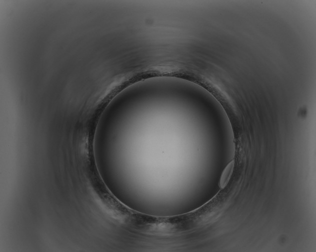 X0000093470212200710191152