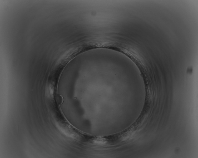 X0000093470214200710191152