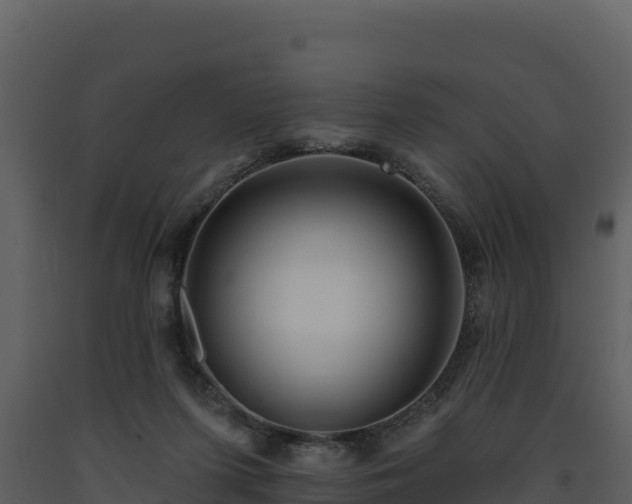 X0000093470215200710191152