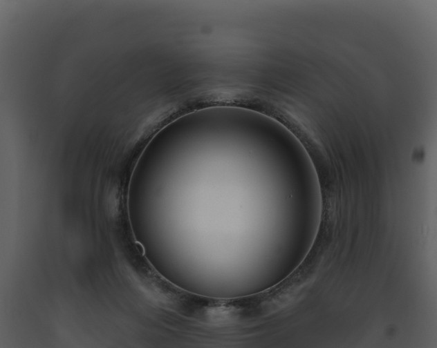 X0000093470216200710191152