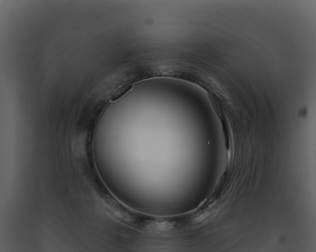 X0000093470217200710191152