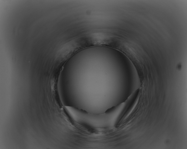 X0000093470219200710191152