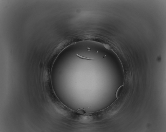 X0000093470220200710191152