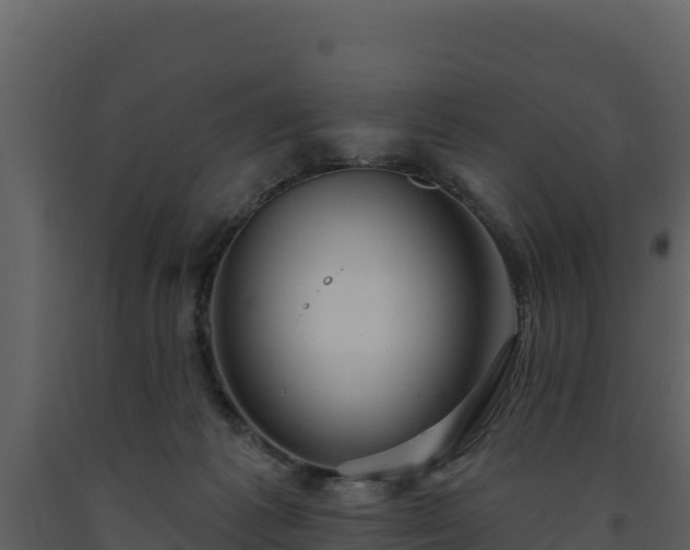 X0000093470221200710191152