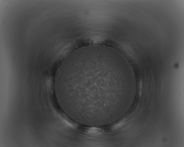 X0000093470222200710191152