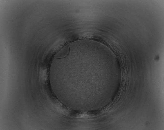 X0000093470224200710191152