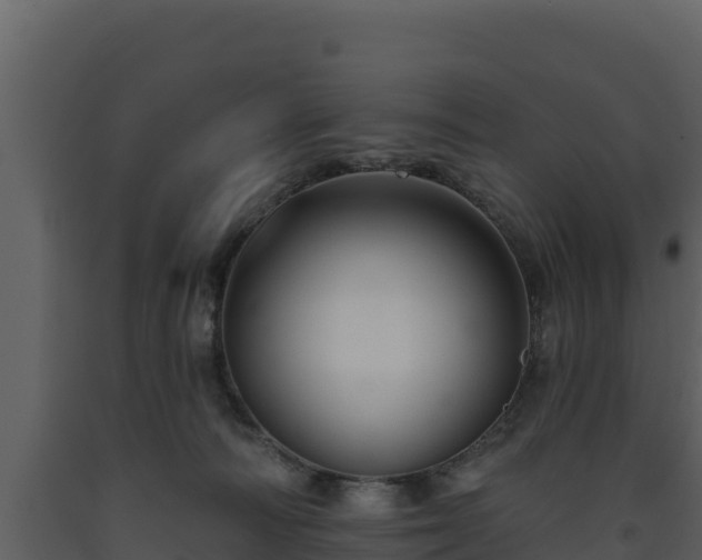 X0000093470226200710191152