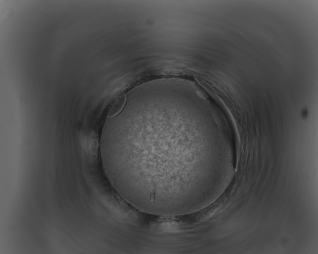 X0000093470228200710191152