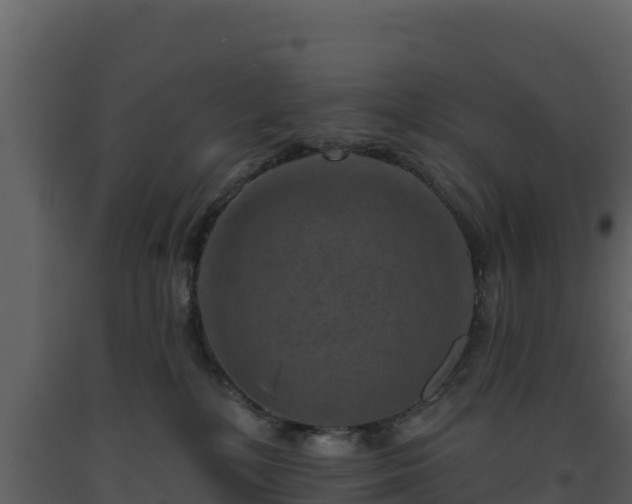 X0000093470232200710191152