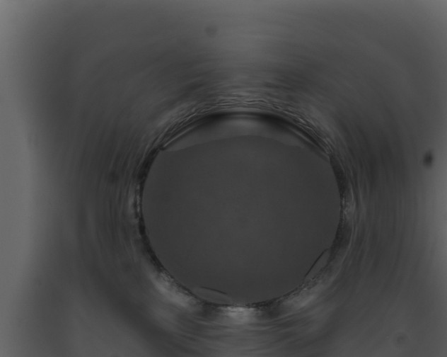 X0000093470233200710191152