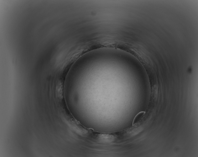 X0000093470234200710191152