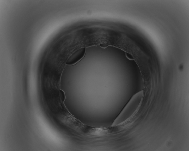 X0000093470239200710191152