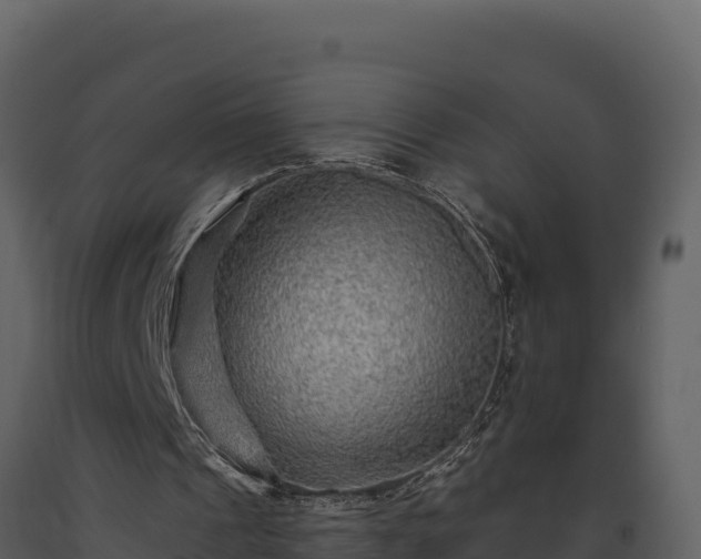 X0000093470241200710191151