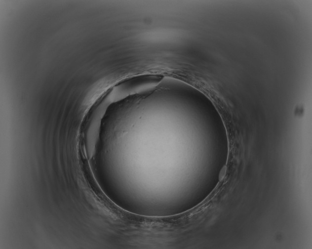 X0000093470242200710191151