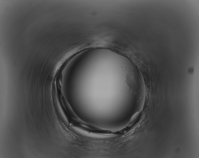 X0000093470244200710191151