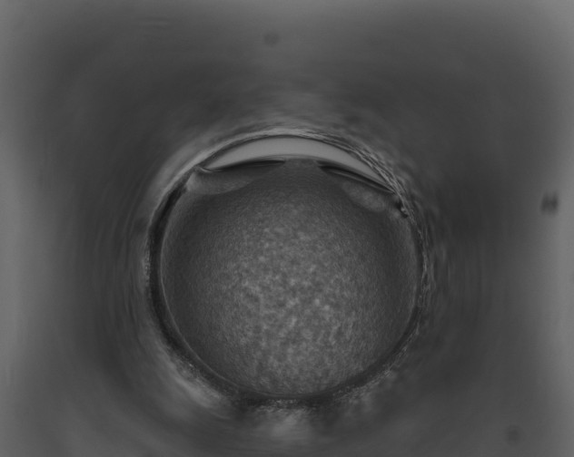 X0000093470247200710191151