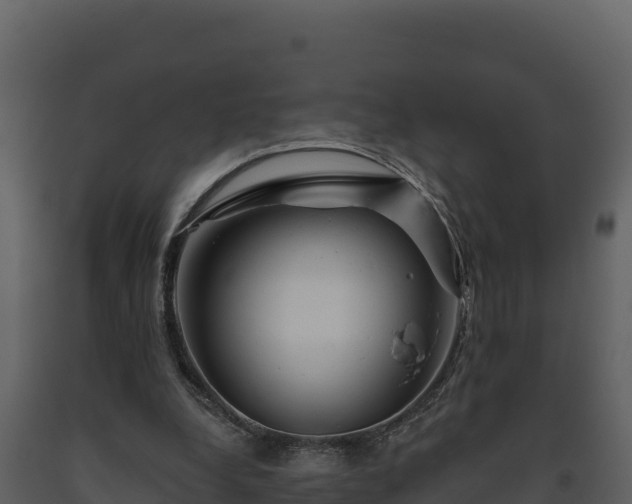 X0000093470248200710191151