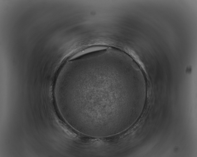 X0000093470249200710191151