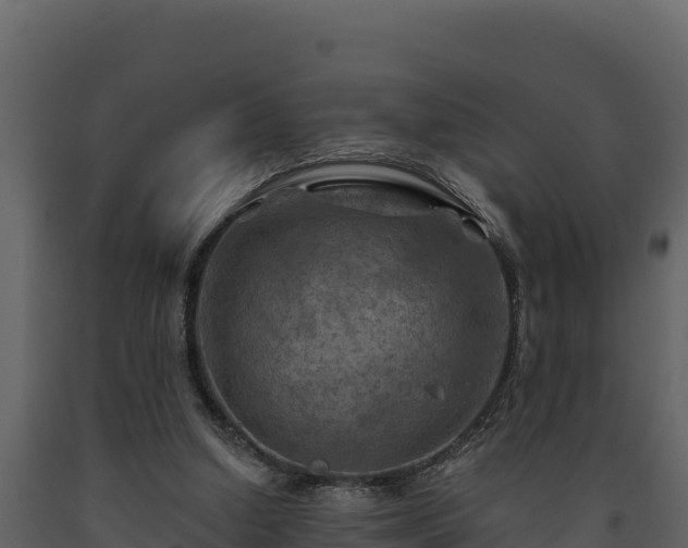 X0000093470250200710191151