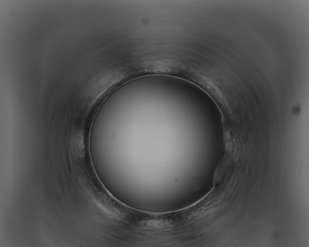 X0000093470251200710191151