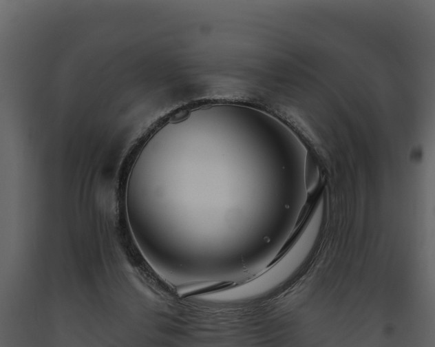 X0000093470252200710191151