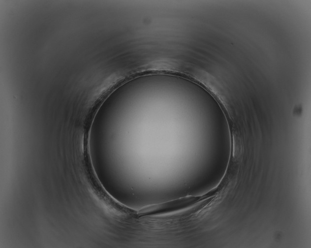 X0000093470253200710191151