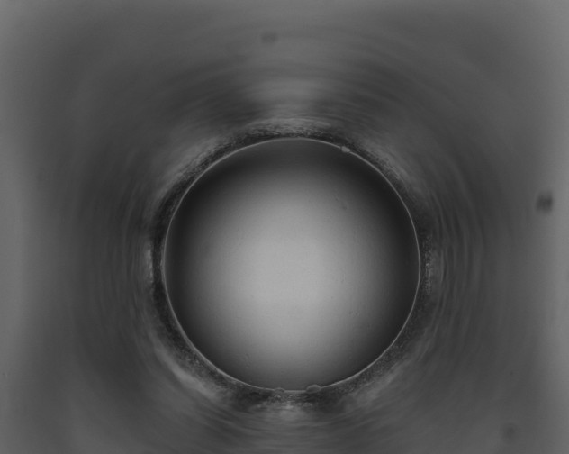 X0000093470254200710191151